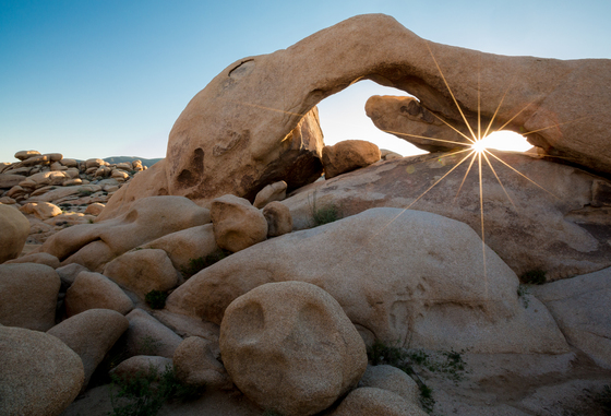 Joshua Tree National Park