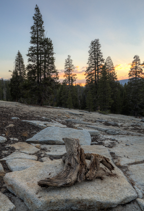 Sequoia National Forest