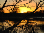 John Heinz Wildlife Refuge
