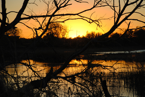 John Heinz Wildlife Refuge