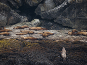 Kenai Fjords National Park, Alaska