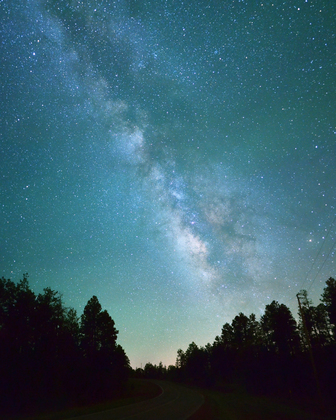 Apache-Sitgreaves National Forest