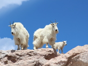 Mount Evans, CO