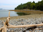 Acadia National Park