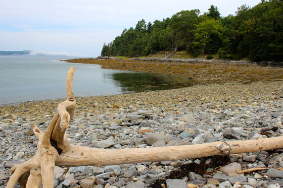Acadia National Park