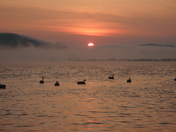 Upper Mississippi National Wildlife Refuge