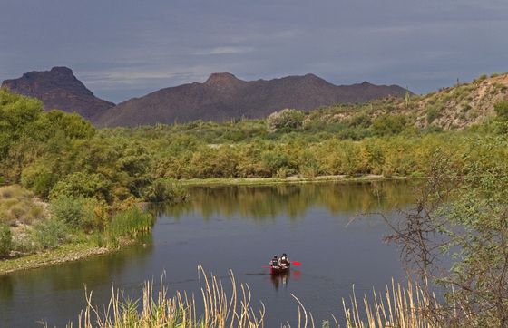 Tonto National Forest