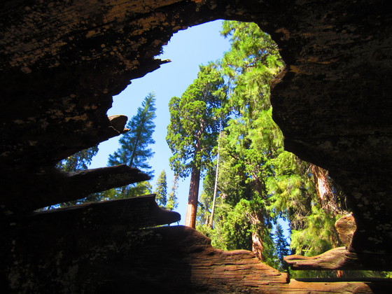Kings Canyon National Park
