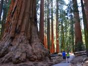 Sequoia National Park