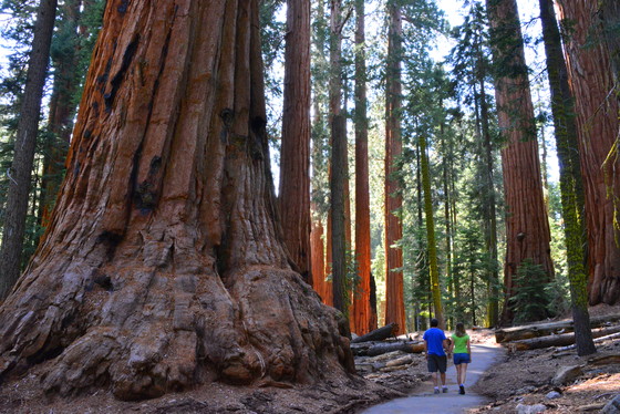 Sequoia National Park