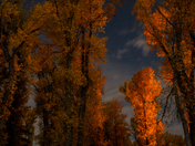 Grand Teton National Park
