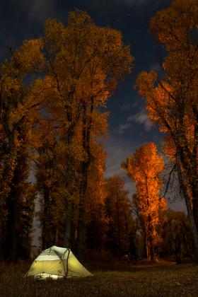 Grand Teton National Park