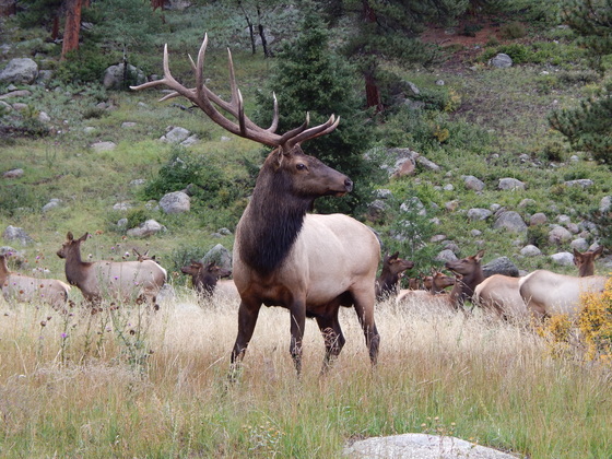 Rocky Mountain National Park