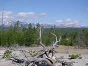 Yellowstone National Park