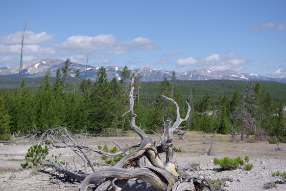 Yellowstone National Park
