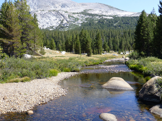 Yosemite National Park