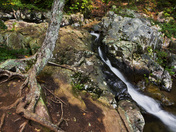 Shenandoah National Park