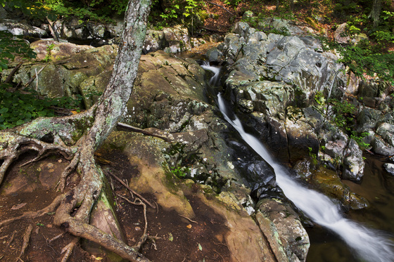 Shenandoah National Park