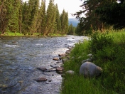 Yellowstone National Park