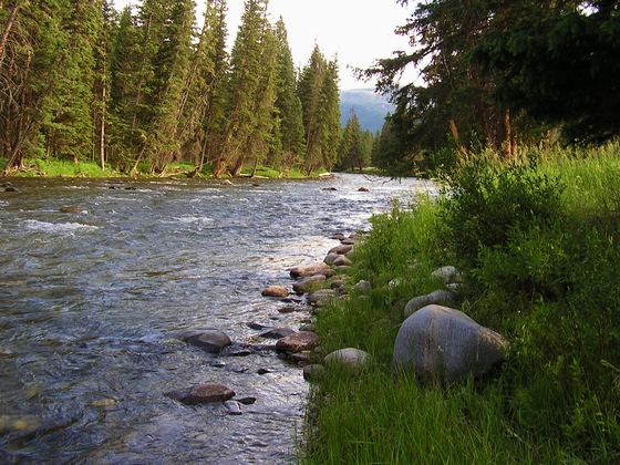 Yellowstone National Park