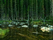 Rocky Mountain National Park