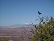 Canyonlands National Park
