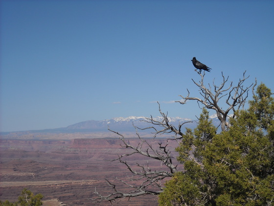 Canyonlands National Park