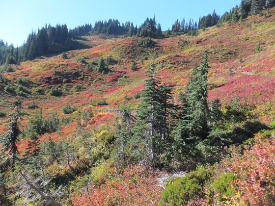 Olympic National Park