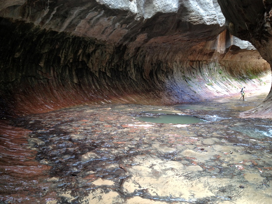 Zion National Park 