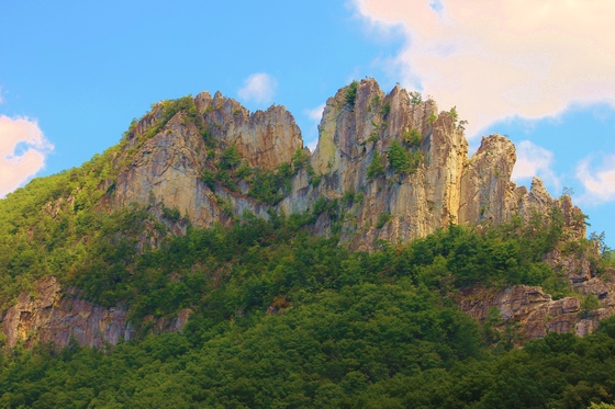 Monogahela National Forest / Seneca Rocks