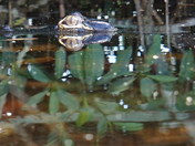 Everglades National Park