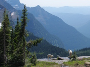 Glacier National park