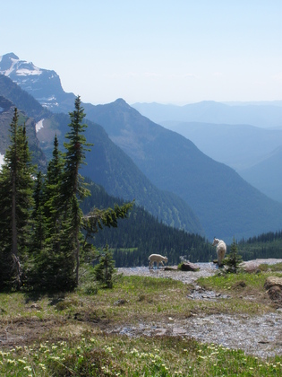 Glacier National park