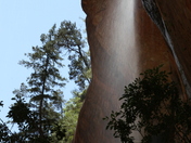 Zion National Park