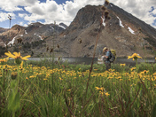 Hoover Wilderness