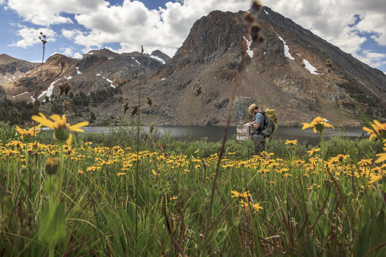 Hoover Wilderness