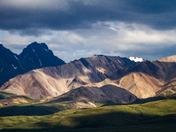 Denali National Park