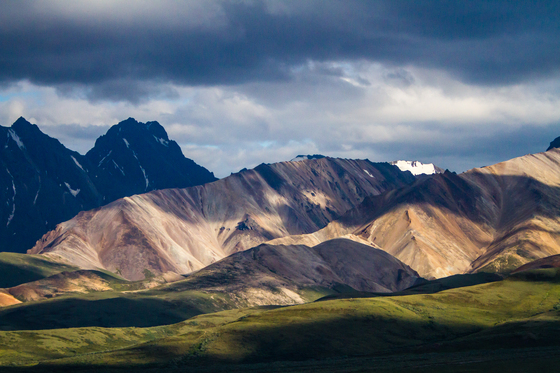 Denali National Park