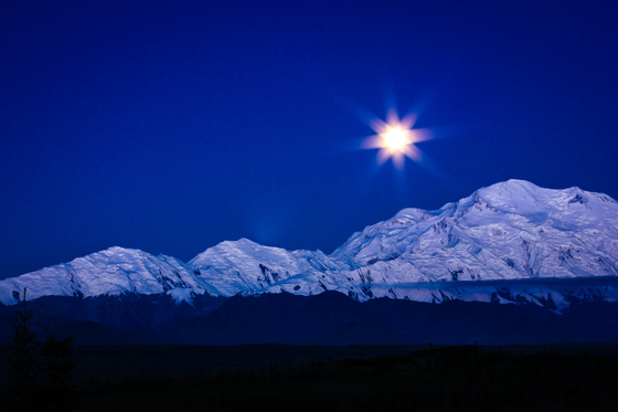 Denali National Park