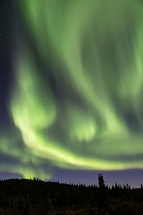Denali National Park