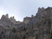 Ashley National Forest