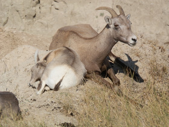 Badlands National Park