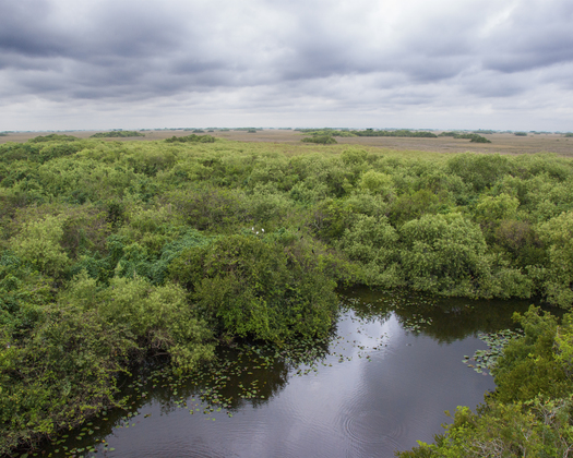 Everglades National Park