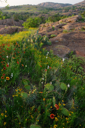 Wichita Mountains WMA