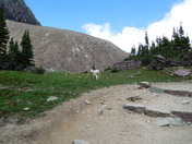 Glacier National Park