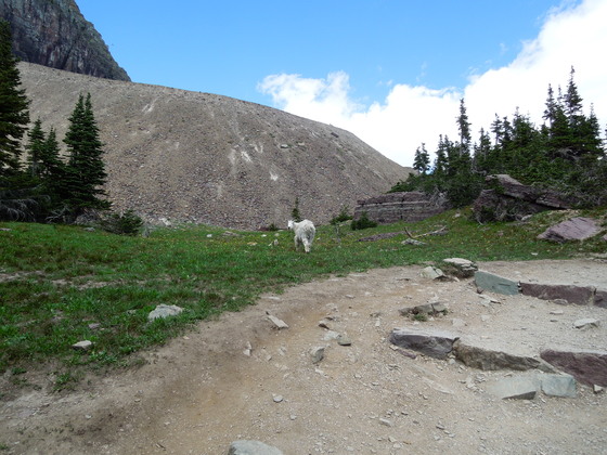 Glacier National Park