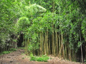 Haleakala National Park