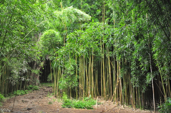 Haleakala National Park