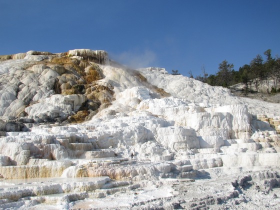 Yellowstone National Park