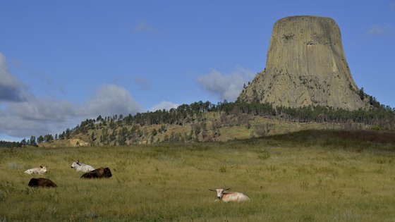 Devils Tower National Monument